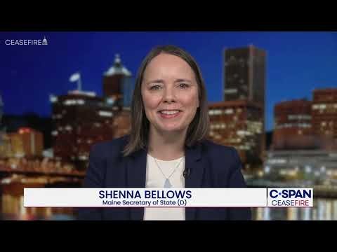 Secretaries of State on fears of midterm interference