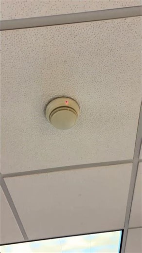 Simplex smoke detector in alarm st my school #firealarm #firealarms #fire #shorts
