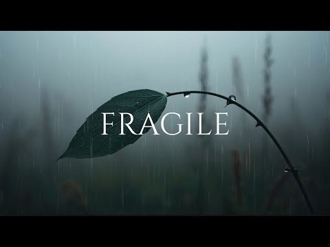 FRAGILE - Emotional Piano and Cello for Deep Reflection, Healing and Melancholy