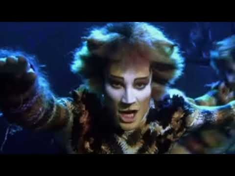 Halloween with Rum Tum Tugger 