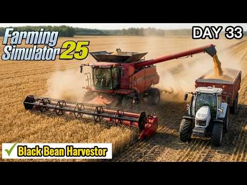 Next Level Black Bean Harvesting! Farming Simulator 25 🚜