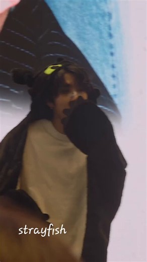 theo & that on X: "HEAR ME OUT: toothless jisung & light fury minho" / X