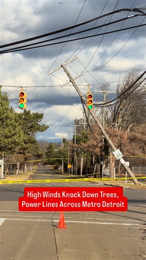 TCD News on Instagram: "High winds up to 60 mph at times, swept through Metro Detroit on Friday, knocking down trees and power lines and leaving outages reported in several areas. Emergency crews responded to downed lines and blocked roads as utility companies worked to restore service."