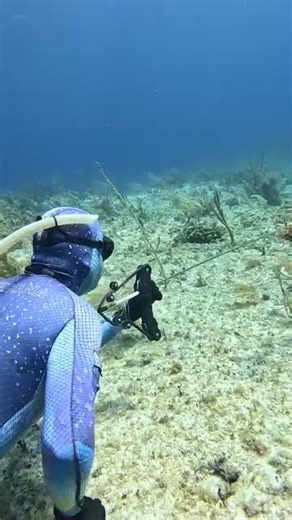 The World's Best Spearfishing Slings | Ryan Myers Spearfishing