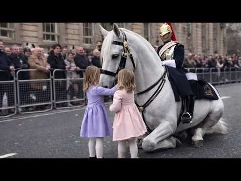 Incredible Moments of Respect Between Horses and People