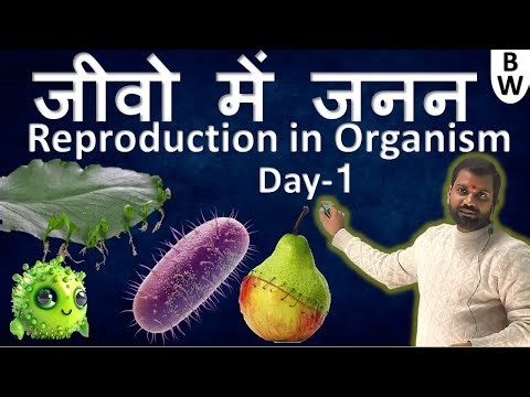 Day -1 जीवो में जनन | Reproduction in organism |Sharma Sir|#biologyworldsharmasir #11th #12th