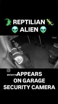 Warning: Reptilian Alien spotted on My Garage Security Camera!