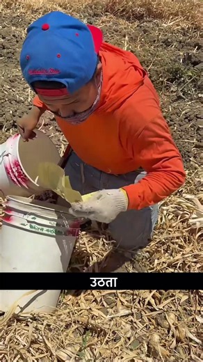 The Clever Trick Behind Farm Workers’ Paychecks! 💡💰