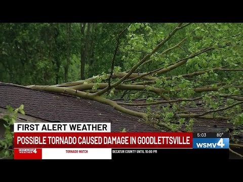Storm causes extensive damage in Goodlettsville; mother and children take shelter as tree crashes...