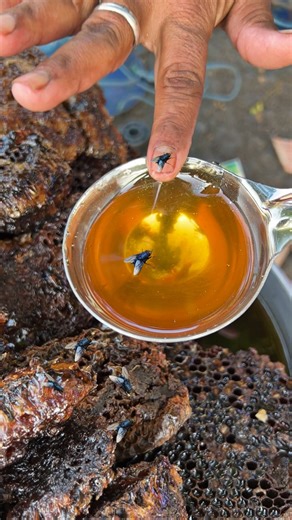 शहद अगर असली हुआ तो मक्खी डूबेगी नही बल्कि उड़ेगी😱 | Taste Of Street 2.0