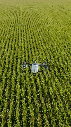 Spraying or spreading, DJI T100 gets it done! 🚁🌱 #DJIAgriculture #DJIT100 #agriculturaldrone Special thanks to Drone Spray . | DJI Agriculture
