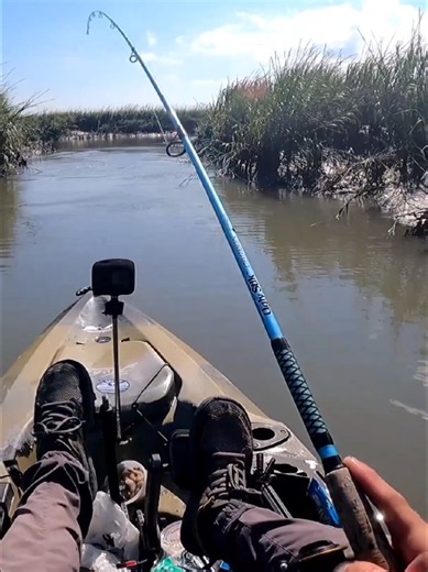 Kayak Fishing Trip Beaufort SC - Book a Tiny Creek Adventure