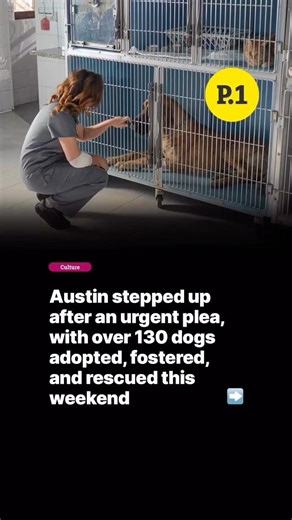 130 dogs adopted in one weekend! 400 still need homes