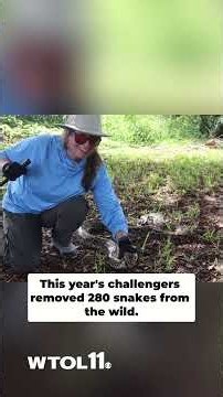 One snake hunter caught 96 pythons and won big