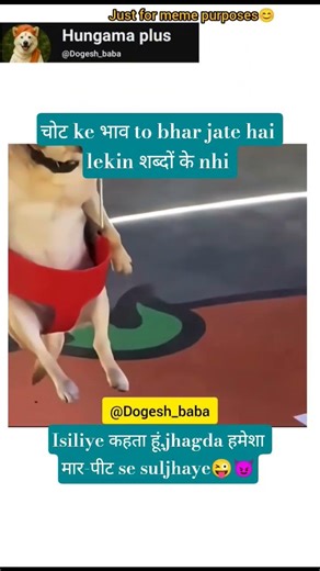Doge Baba Fight Mode On 😂💥 | Dogesh bhai memes #relatable #funny #funnymemes #lol