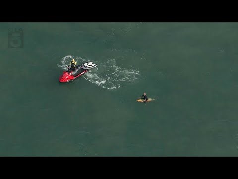 Shark sighting shuts waters near Huntington pier