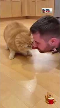 When Your Cat Wakes You Up With a Bite! 😹 (Pets vs Humans)