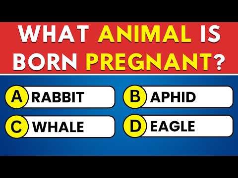 Your Brain Is Sharp If You Score 20+ 🧠 30 General Knowledge Quiz Questions Challenge! 🎓