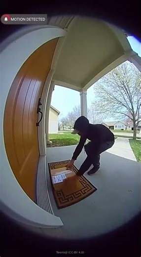 Porch Pirate Paint Bomb Chaos Caught on DoorCam
