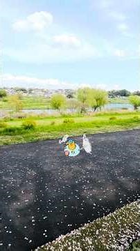 Alien exploring urban plants in Japan 🌿🇯🇵 Ribwort plantain #1