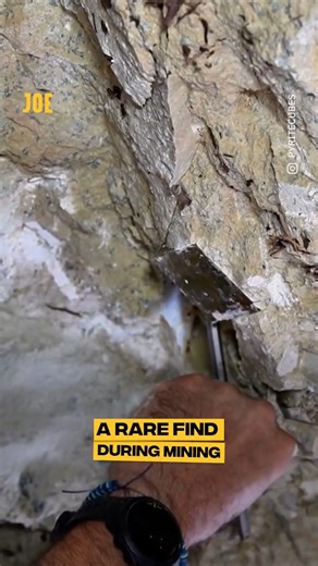 It’s perfect 😍 | JOE.co.uk