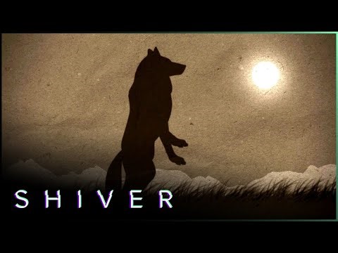 Real Monsters or Myths? Jersey Devil, Lizard Man, and Werewolf Sightings