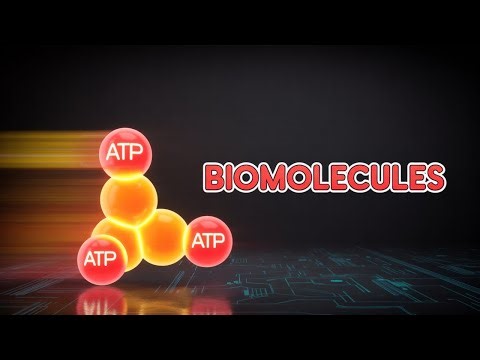 Biomolecules I Importance of Biomolecules in Living Organisms I Based on NCERT & latest exam pattern