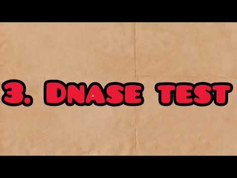 Staphylococcus aureus: General characteristics, Culture and Identification