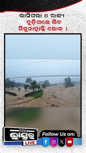 ମାଡି ଆସିଲା ଭୟଙ୍କର ପ୍ରଳୟ ବୁଡିଗଲେ ଶିବ #ytshorts #shortsvideo #Flood #HeavyRain #ShivaTemple
