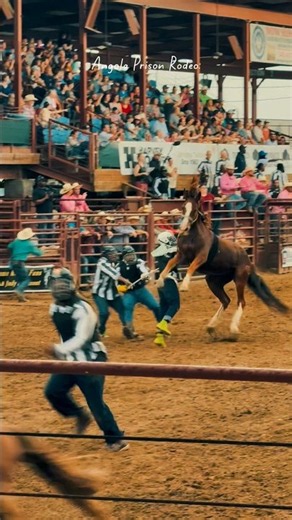 Prison Rodeo