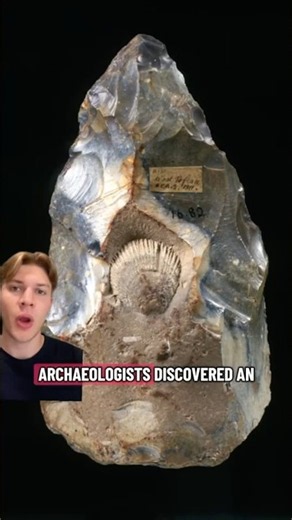 Ancient handaxe is a peice of art? #history #archaeology #science #ancienthistory
