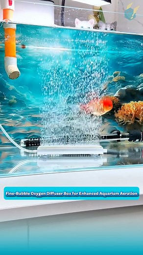 Fine-Bubble Oxygen Diffuser Box for Enhanced Aquarium Aeration