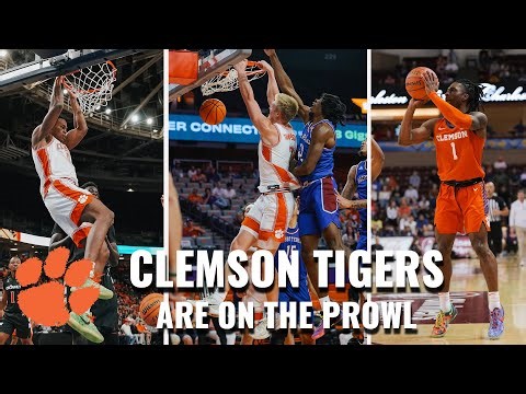 The Clemson Tigers Are On The Prowl