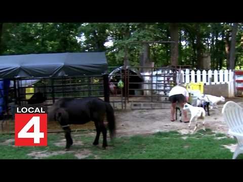Local 4 News at 11 -- Aug. 31, 2026