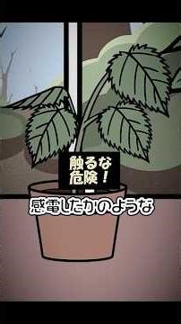 猛毒の雑学３連発！