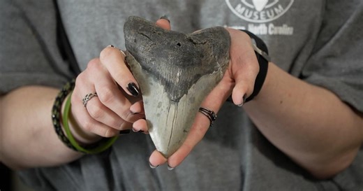 Aurora Fossil Museum