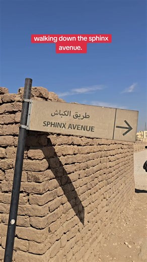 over a mile walk down the sphinx avenue joining luxor temple to karnak temple. #sphinx #sphinxavenue #karnaktemple #luxortemple #ancientegypt