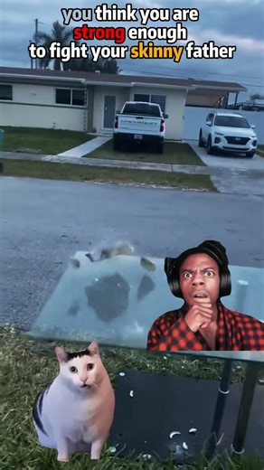 100% titanium alloy glass#fails#funny #memes