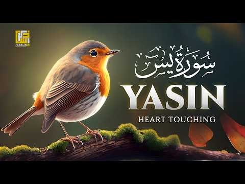 Surah Yaseen (Yasin)سورة يس | Ultimate Relaxing Quran Will Touch Your Heart إن شاء الله #surahyasin​