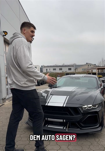 Leider ohne 230V Anschluss !! #Fy #fyp #car #mustang #viral