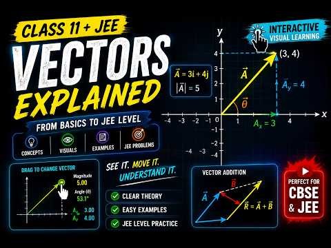 Learn Vectors from Basic to Advance