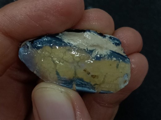 Opalized Bivalve Mollusc Shell Mesozoic Cretaceous Fossil – 37.6ct Lightning Ridge Opal | Natural Australian Fossil - Etsy Australia