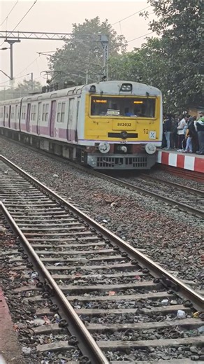 Local Train🚉#railway #indianrailways#emu #ganapatibappamorya#ganeshchaturthi #locomotive