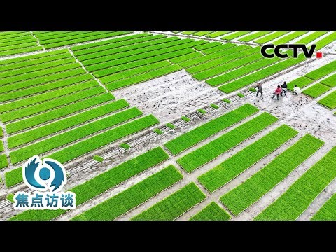 中国春耕的化肥供应情况如何？为了保障化肥供应，我们又做了什么？| CCTV「焦点访谈」20260428
