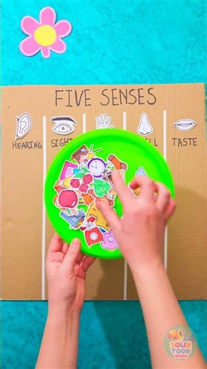 DIY 5 Senses Cardboard Discovery Board 🖐️👁️ #cardboardcrafts