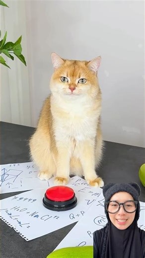 MIAW JAILIN MAMA ⁉️ @PrincessNikacat