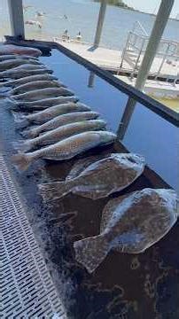 Catch , Clean, & Cook - Texas Trout 🎣 #catchcleanandcook #catchandcook #trout #fishing #outdoors