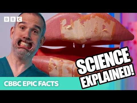 What are CHAPPED LIPS and why do we get them? 👄 | Operation Ouch | CBBC Epic Facts
