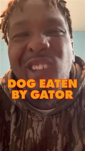 Giant Alligator Caught After Eating Local Dog #alligator #hunter #florida