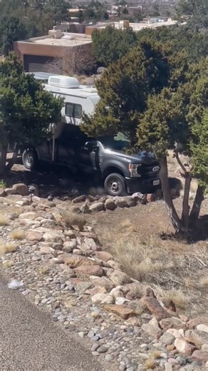Bobcats are fascinating #bobcat #dangerousanimals #wildlifevideo # | bobcat